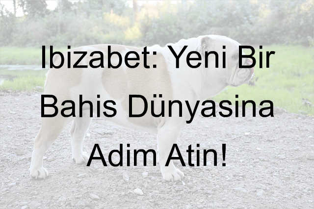 İbizabet