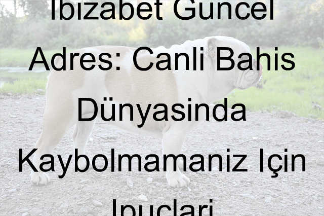 İbizabet Güncel Adres