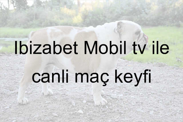 İbizabet Mobil tv