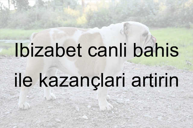 İbizabet canlı bahis