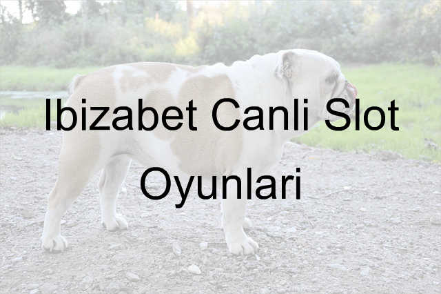 İbizabet canlı slot