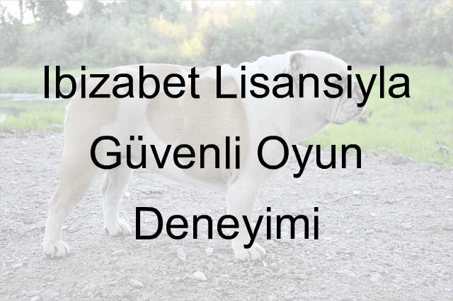 İbizabet lisans