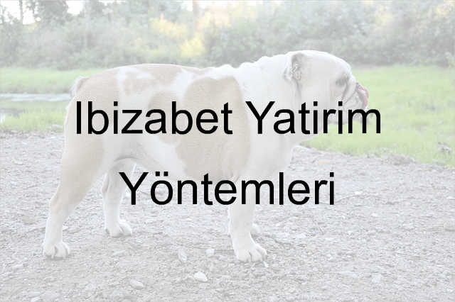 İbizabet yatırım